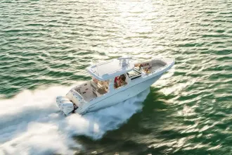 Thumbnail von Boston Whaler 350 Realm