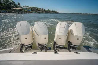 Thumbnail von Boston Whaler 380 Realm RFN II