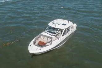 Thumbnail von Boston Whaler 380 Realm RFN II