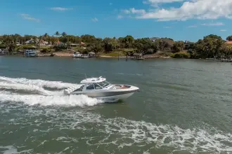 Thumbnail von Boston Whaler 380 Realm RFN II