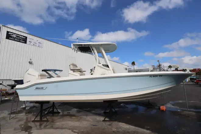 Boston Whaler 250 Dauntless