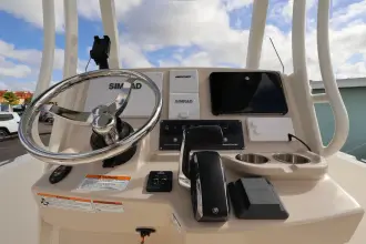 Thumbnail von Boston Whaler 250 Dauntless