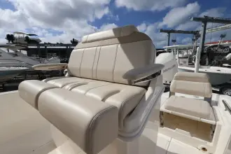 Thumbnail von Boston Whaler 250 Dauntless
