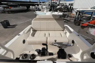 Thumbnail von Boston Whaler 250 Dauntless