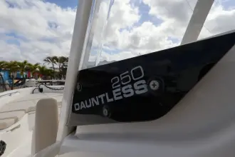 Thumbnail von Boston Whaler 250 Dauntless