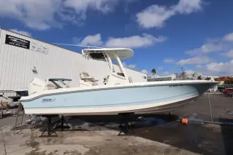 Thumbnail von Boston Whaler 250 Dauntless