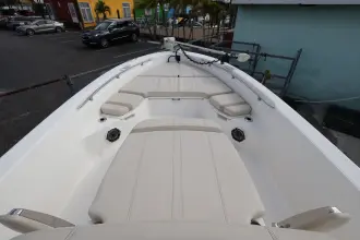 Thumbnail von Boston Whaler 250 Dauntless