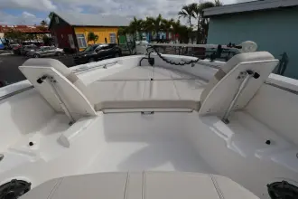 Thumbnail von Boston Whaler 250 Dauntless