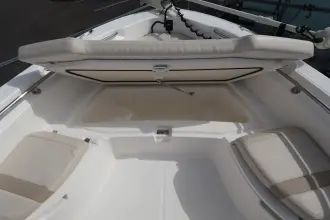 Thumbnail von Boston Whaler 250 Dauntless