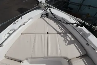Thumbnail von Boston Whaler 250 Dauntless