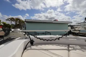 Thumbnail von Boston Whaler 250 Dauntless