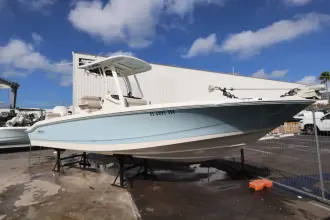 Thumbnail von Boston Whaler 250 Dauntless