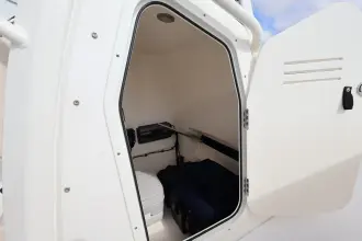 Thumbnail von Boston Whaler 250 Dauntless
