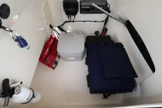 Thumbnail von Boston Whaler 250 Dauntless
