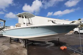 Thumbnail von Boston Whaler 250 Dauntless