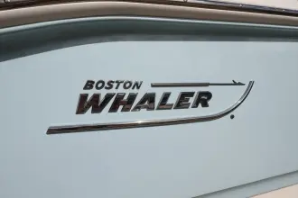 Thumbnail von Boston Whaler 250 Dauntless