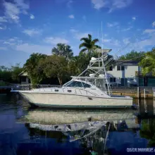 Thumbnail von Pursuit 3800 Express