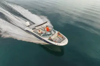 Thumbnail von Sea Ray SDX 250 Dıştan Takma