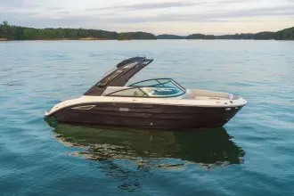 Thumbnail von Sea Ray SDX 250