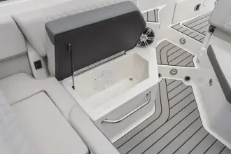 Thumbnail von Sea Ray SDX 250