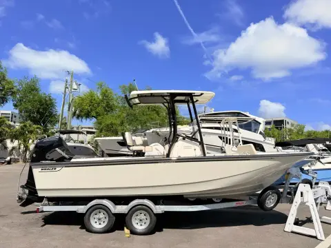 Boston Whaler 210 Montauk
