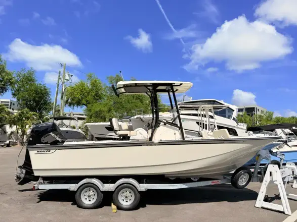 Boston Whaler 210 Montauk