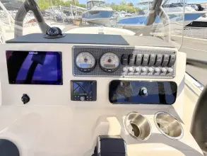 Thumbnail von Boston Whaler 210 Montauk