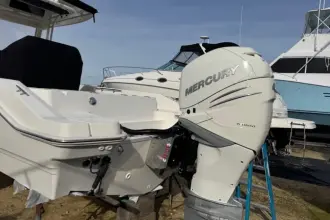 Thumbnail von Boston Whaler 280 Dauntless