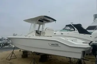 Thumbnail von Boston Whaler 280 Dauntless