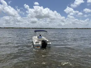 Thumbnail von Boston Whaler 170 Montauk