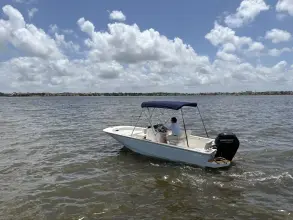 Thumbnail von Boston Whaler 170 Montauk