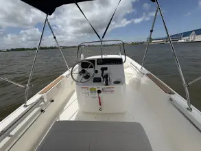 Thumbnail von Boston Whaler 170 Montauk