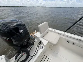 Thumbnail von Boston Whaler 170 Montauk