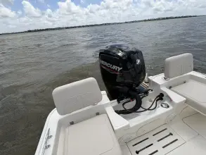 Thumbnail von Boston Whaler 170 Montauk