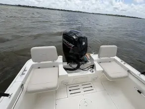 Thumbnail von Boston Whaler 170 Montauk
