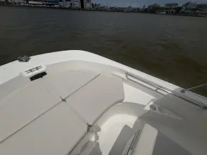 Thumbnail von Boston Whaler 170 Montauk