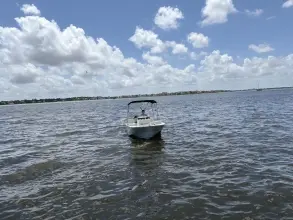 Thumbnail von Boston Whaler 170 Montauk