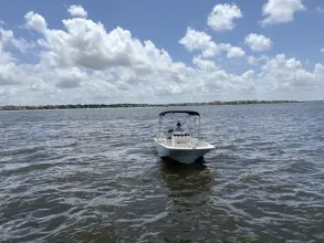 Thumbnail von Boston Whaler 170 Montauk