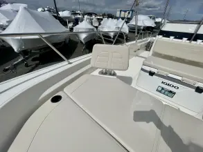 Thumbnail von Boston Whaler 210 Montauk