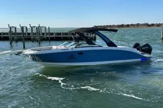 Thumbnail von Sea Ray SDX 290 Dıştan Takma Motor
