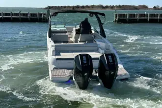 Thumbnail von Sea Ray SDX 290 Dıştan Takma Motor