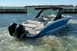 Thumbnail von Sea Ray SDX 290 Dıştan Takma Motor