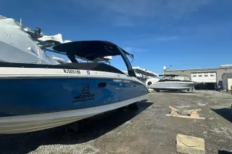 Thumbnail von Sea Ray SDX 290 Dıştan Takma Motor
