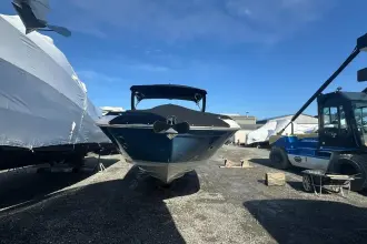 Thumbnail von Sea Ray SDX 290 Dıştan Takma Motor
