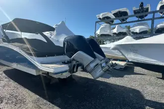 Thumbnail von Sea Ray SDX 290 Dıştan Takma Motor