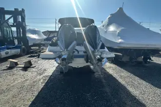 Thumbnail von Sea Ray SDX 290 Dıştan Takma Motor