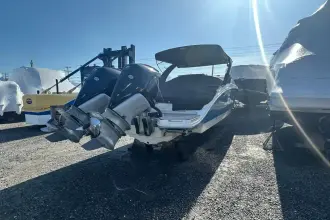 Thumbnail von Sea Ray SDX 290 Dıştan Takma Motor