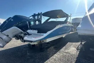 Thumbnail von Sea Ray SDX 290 Dıştan Takma Motor