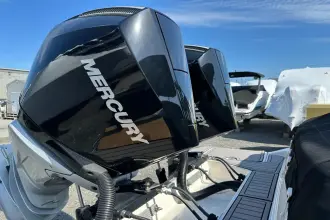 Thumbnail von Sea Ray SDX 290 Dıştan Takma Motor