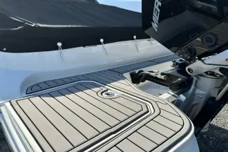 Thumbnail von Sea Ray SDX 290 Dıştan Takma Motor